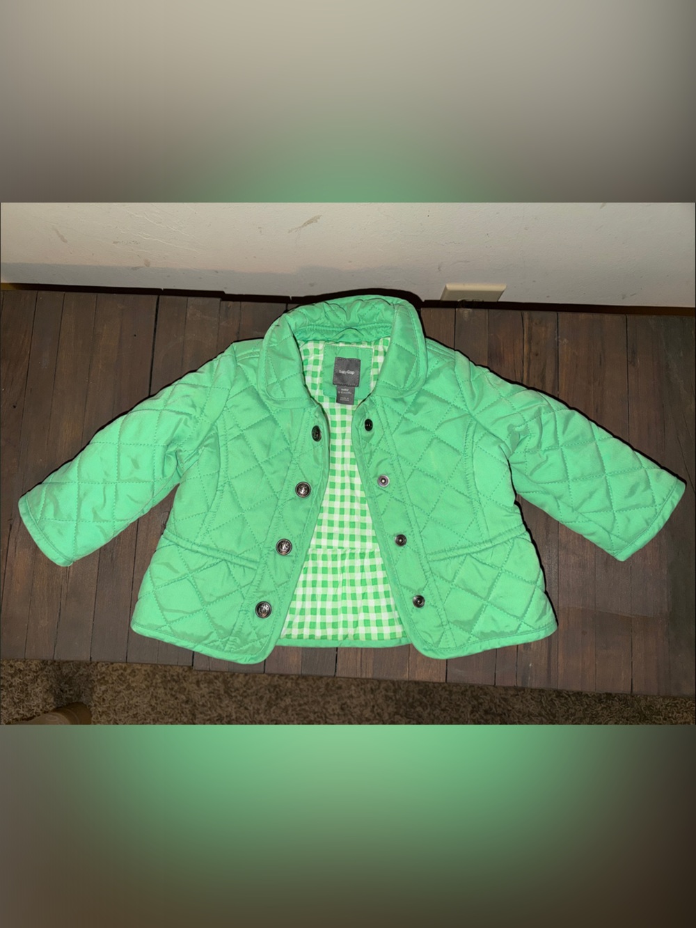GAP Quilted Mint Green Baby Girls' 6-12 months Jacket with Gingham Lining